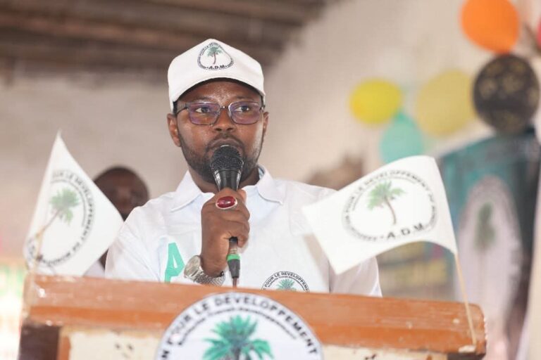 Read more about the article BILAN DES ACTIVITÉS RÉALISÉES EN 2025 – Association pour le Développement de Mondo (ADM)